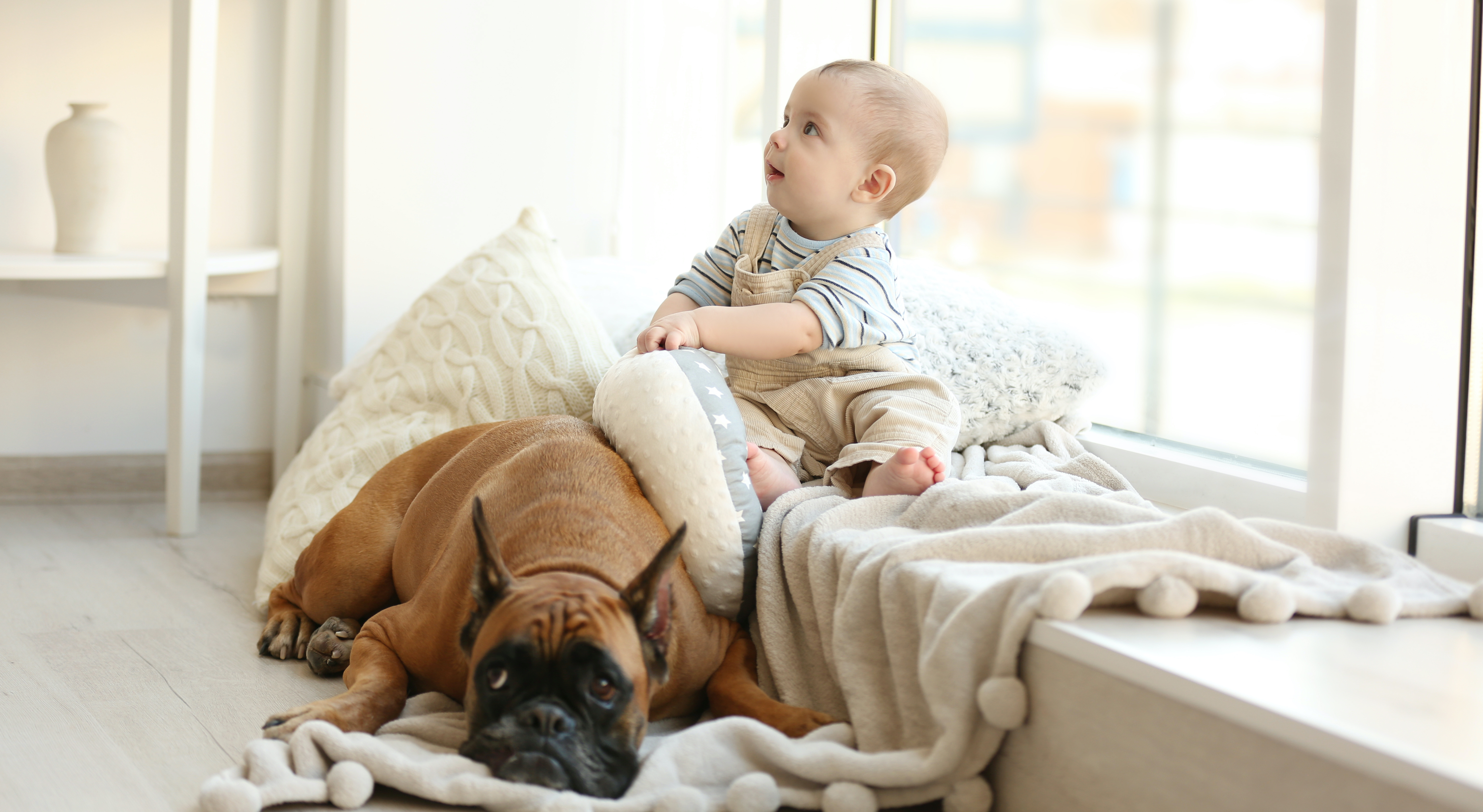 A baby and a boxer dog cuddle in front of a large window.