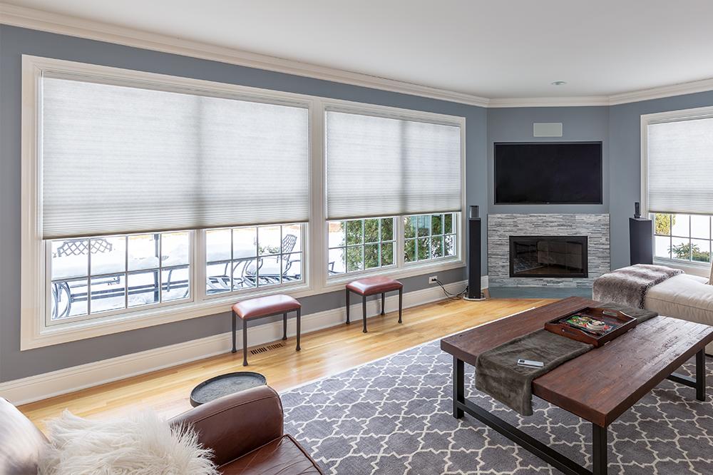 Cellular shades cover two windows in a modern living room