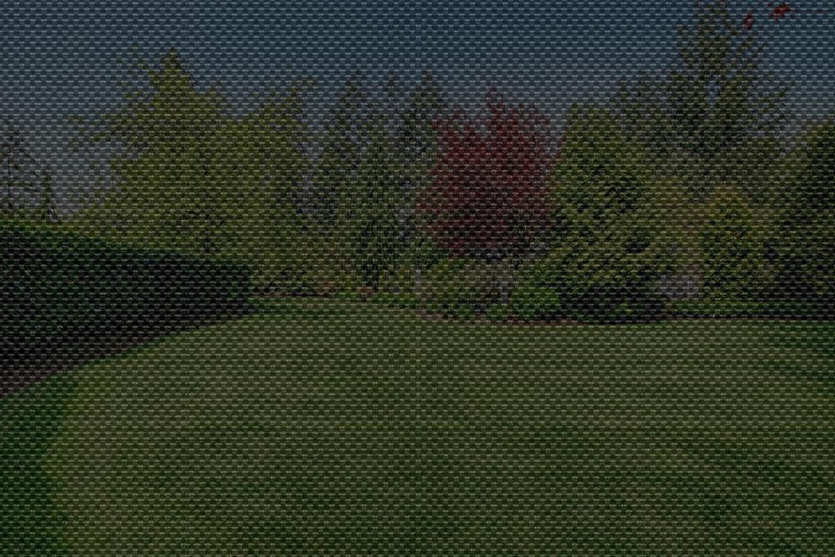 The view of a home lawn through a solar shade with 5% openness for comparison
