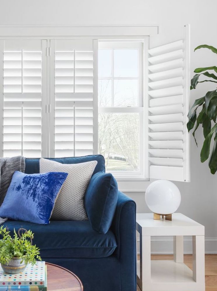 A contemporary living room features indoor shutters on a large window behind a blue velvet couch.