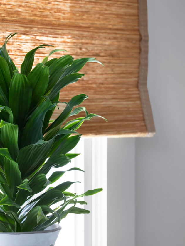 Close up of Woven Wood Shade against a window behind a natural green plant. Close up of Woven Wood Shade against a window behind a natural green plant.