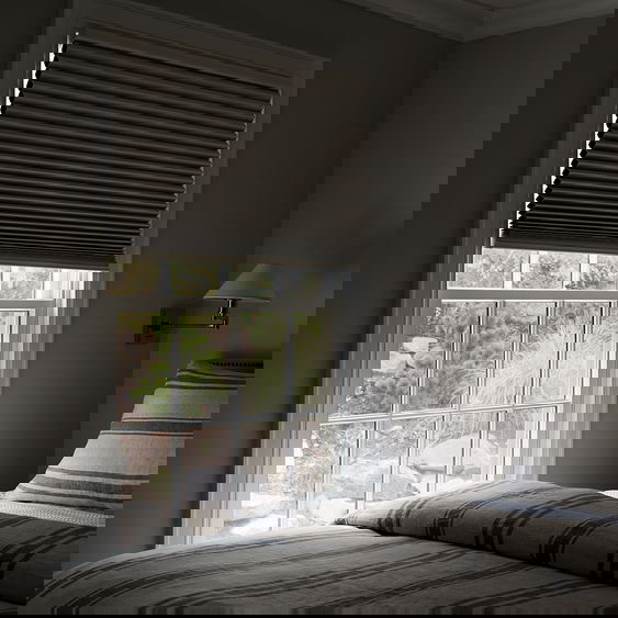 Classic Blackout Cellular Shades