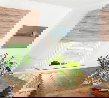 Brown Shades Brown Shades