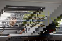 Motorized Blinds