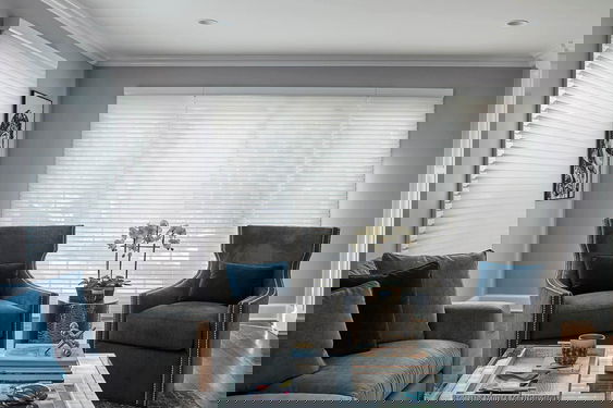 Light-Filtering Serenity Shades