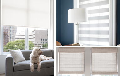 Shades Overview Shades Overview