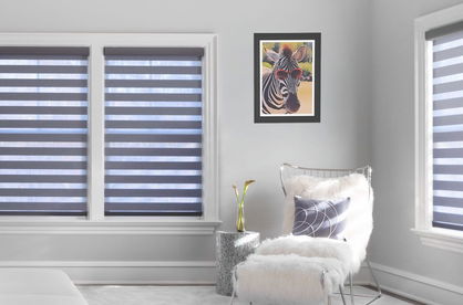 Zebra Shades Are Trending