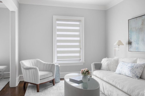 Cascade / Zebra Shades