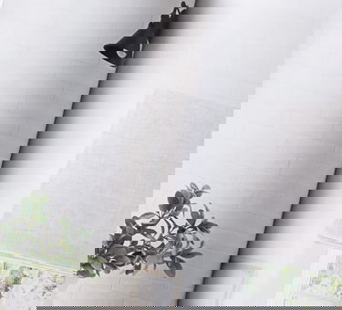 Inspiration At Your Doorstep