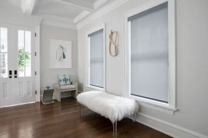 Modern Living Room Roller Shades
