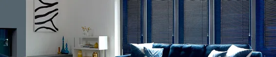 Blue Blinds