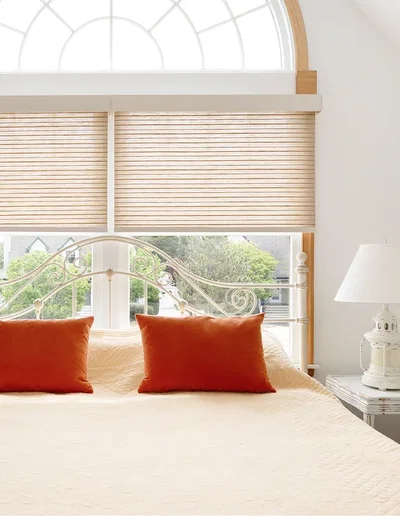 Shop Window Treatments
