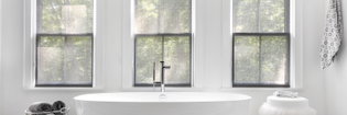 solar shades from blinds to go 