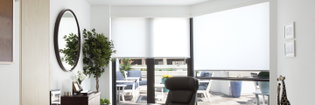 solar shades white from Blinds to go 