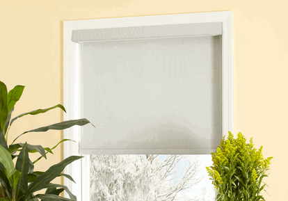 Motorized Shades Charleston