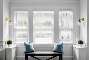 Window Blinds