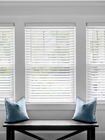 Window Blinds